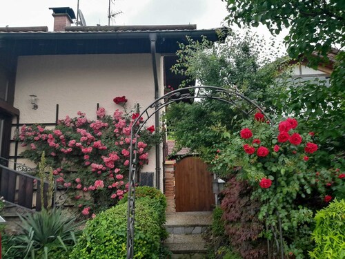 3 Holiday apartment Zirbenstüberl