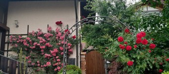 3 Holiday apartment Zirbenstüberl