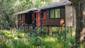 Front of property - Wilderness camp Resort Pench (Kurai)