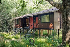 Front of property - Wilderness camp Resort Pench (Kurai)