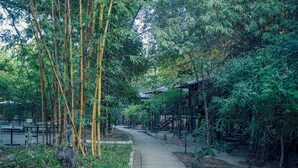 Front of property - Wilderness camp Resort Pench (Kurai)