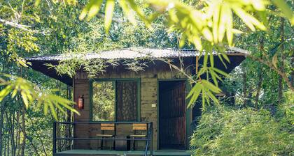 Wilderness camp Resort Pench