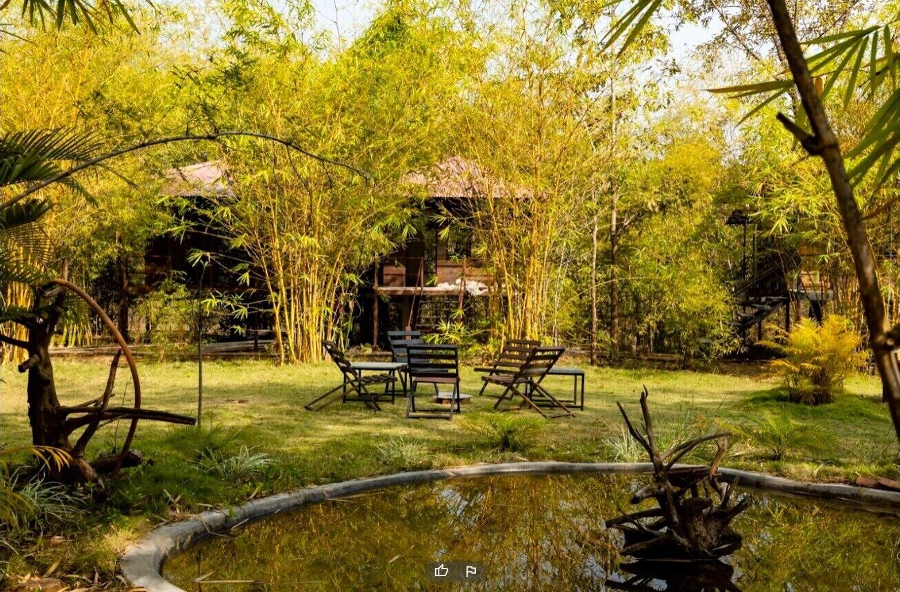 A bamboo garden with a small pond, outdoor seating, and a rustic structure.