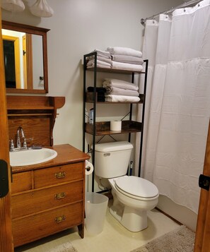 Dusche, Haartrockner, Handtücher, Seife