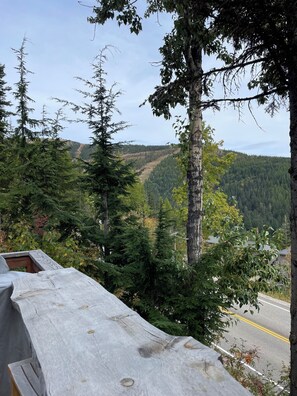 A view from a wooden deck overlooking a forested valley with a road and a distant building.