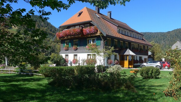 Eksteriør