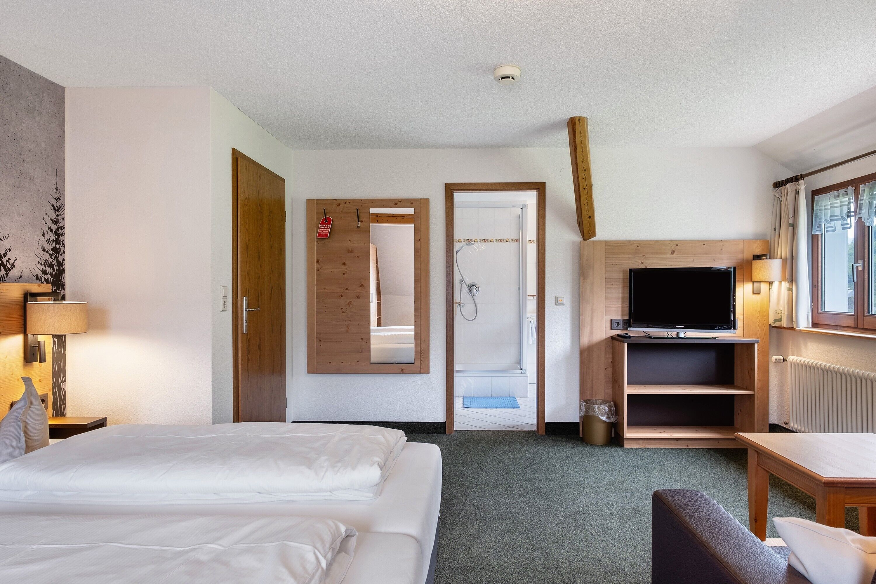 Une chambre d’hôtel avec un lit, une télévision, une douche et un bureau.
