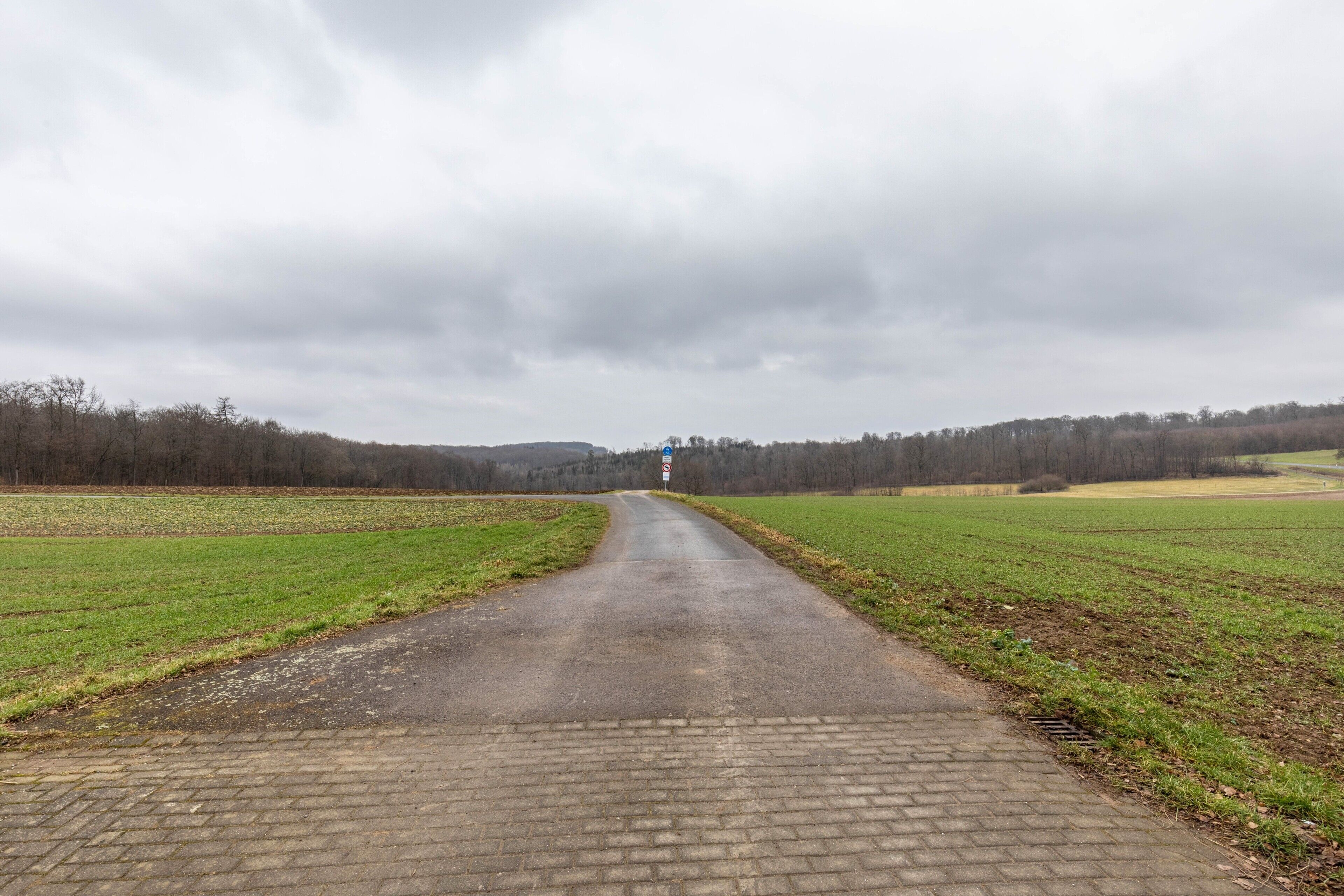 Een landweg die naar een punt in de verte leidt, omringd door open velden en bomen.