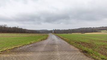 Een landweg die naar een punt in de verte leidt, omringd door open velden en bomen.