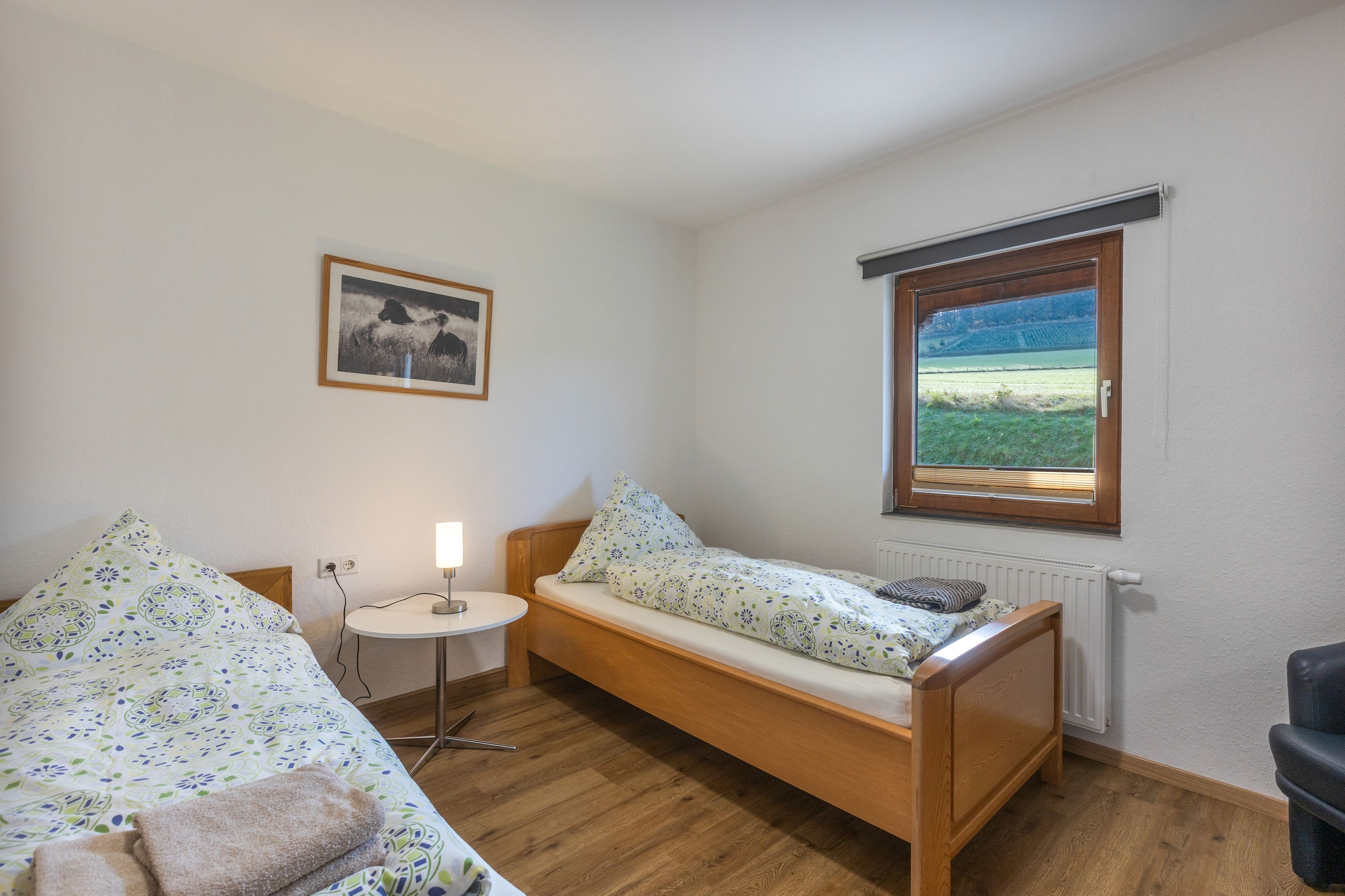 A bedroom with a single bed, a bedside table with a lamp, a window with a view of a field, and a framed picture on the wall.