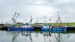 Two blue fishing boats docked at a marina with calm water reflecting the boats and surrounding structures. - Holiday Home 'Ferienhaus Lüttje Dörp' with Private Terrace, Private Garden and Wi-Fi (Blomberg)