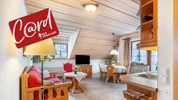 A cozy room with a wooden ceiling, a sofa, a dining table, a TV, and a kitchen area. - Holiday Apartment 'Type B, 50sqm' with Mountain View, Private Terrace and Wi-Fi (Feldberg (Schwarzwald))