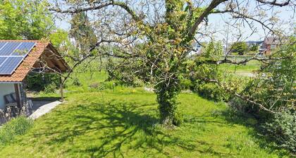 Apartment '7' with Balcony and Wi-Fi