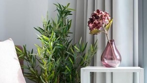 Una sala de estar moderna con un sofá rosa, una mesita auxiliar blanca, un jarrón rosa con flores y una planta verde.