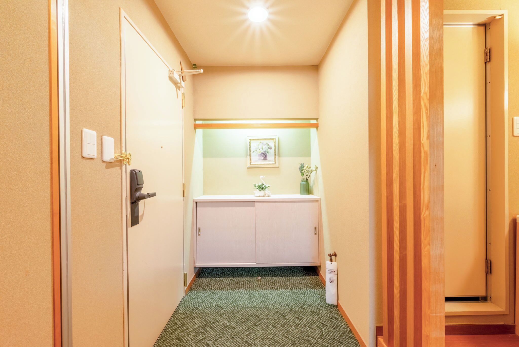 A narrow hallway with a green patterned carpet, a white cabinet with a small plant, and a framed picture on the wall.