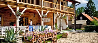 Sasek Maly Pensjonat Jazdy Konne