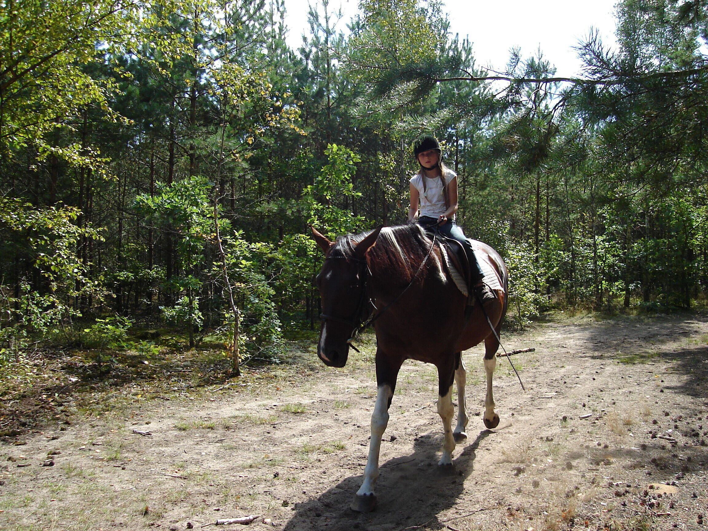 A person riding a horse on a dirt path surrounded by trees.