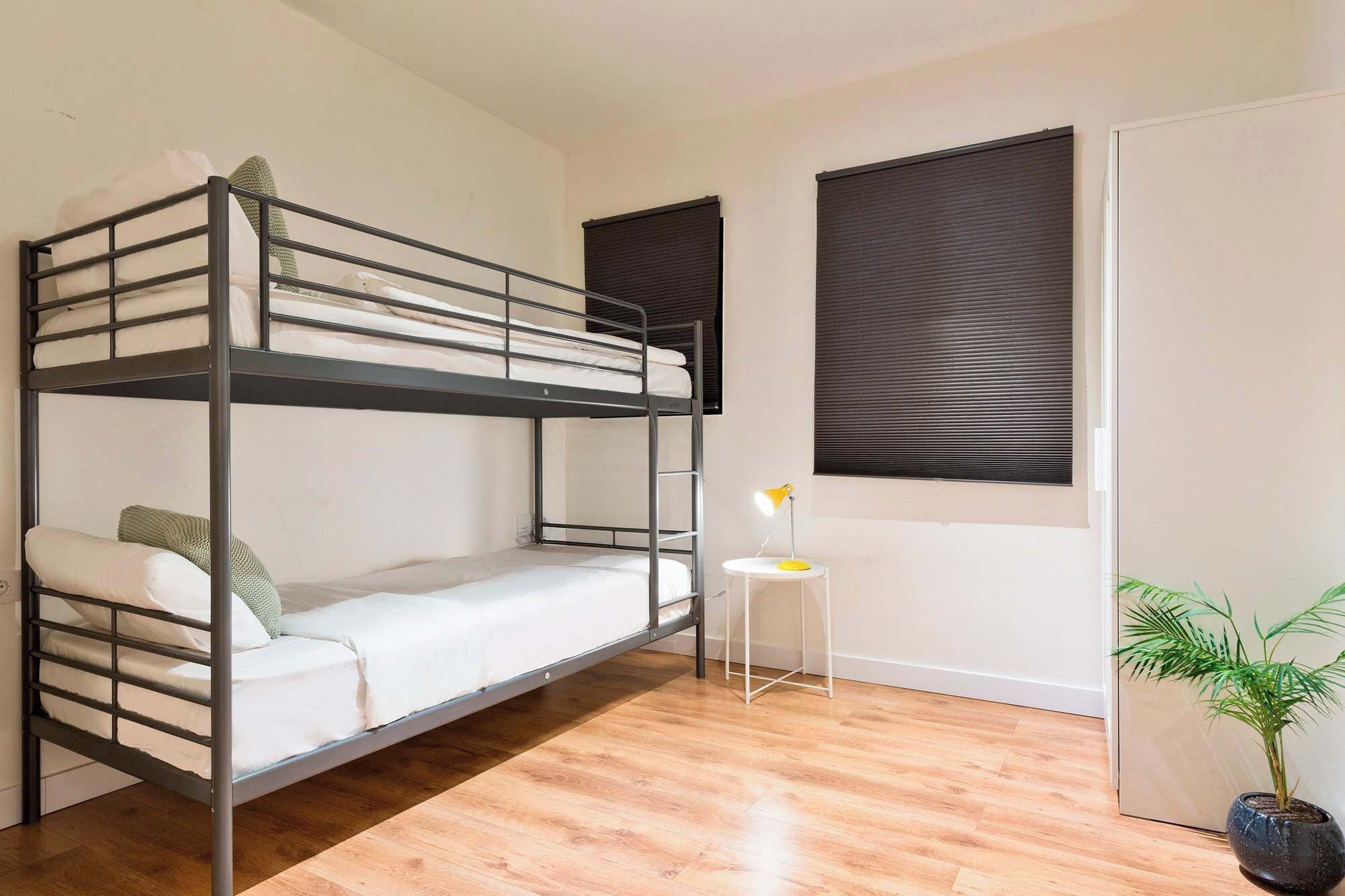 Une chambre avec un lit superposé, une petite table et une plante en pot.