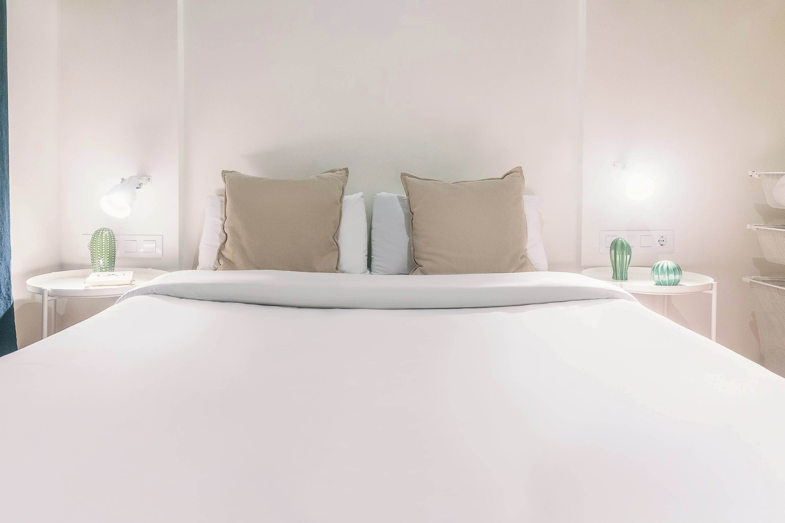 Una habitación de hotel con una cama grande, dos mesitas de noche, una lámpara y un cactus sobre una de ellas.