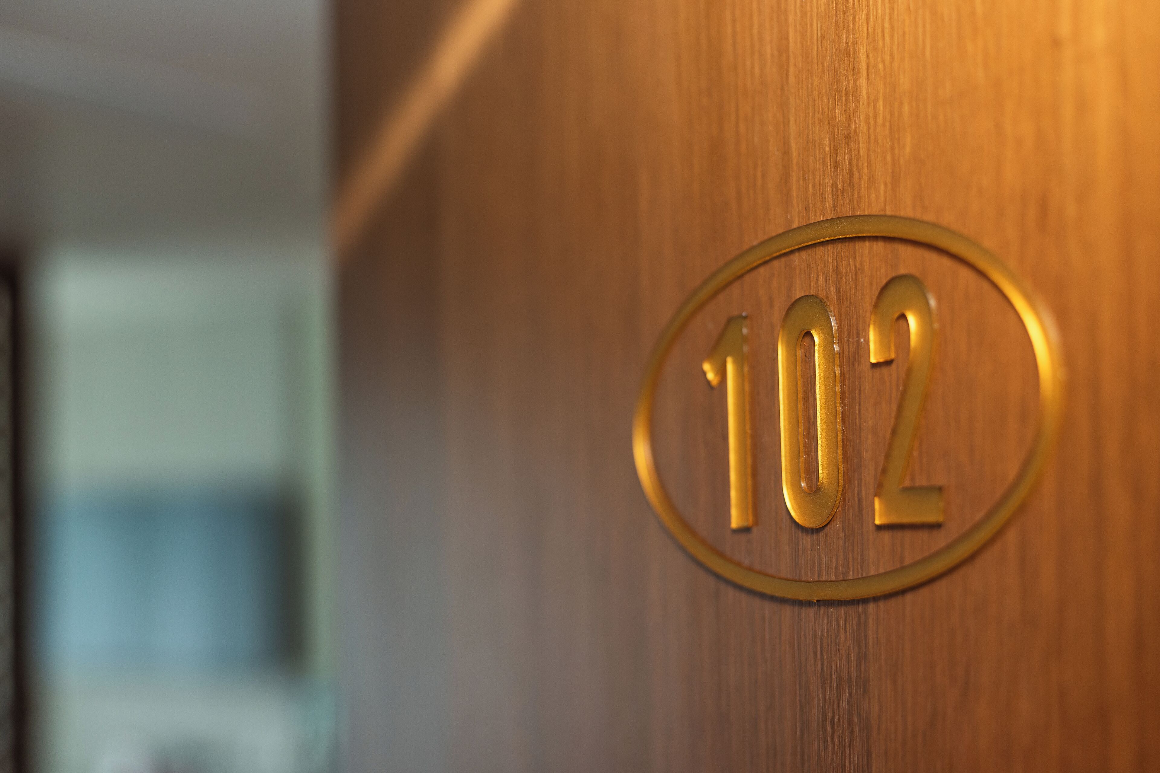 A close-up of a brass number plaque with the number 102 on a wooden door.