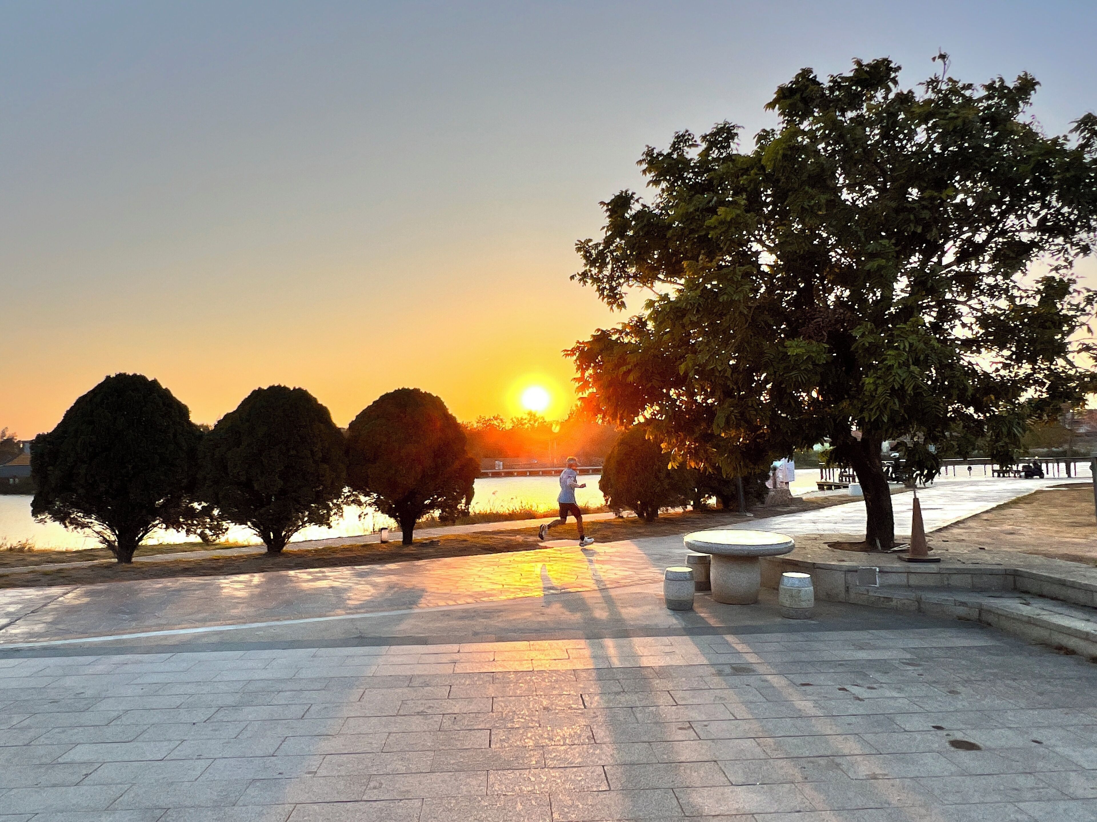 Un chemin pavé bordé d’un arbre et d’un banc, qui mène à un plan d’eau avec un coucher de soleil en arrière-plan.