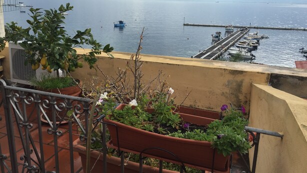A balcony with terracotta planters containing various plants and flowers, overlooking a calm sea with boats and a dock. - La Casa Di Levante, Charming apartment with panoramic terrace. (Milazzo)