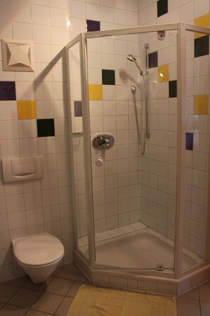 Shower, towels, soap, toilet paper