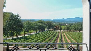 A balcony with a wrought iron railing and a view of vineyard rows.