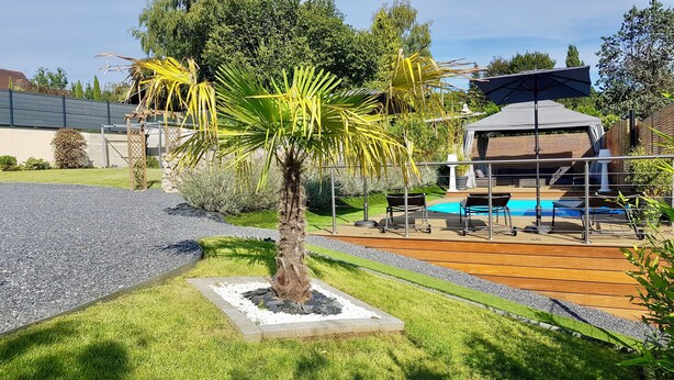 Un patio trasero con una palmera, una piscina y un porche cubierto.