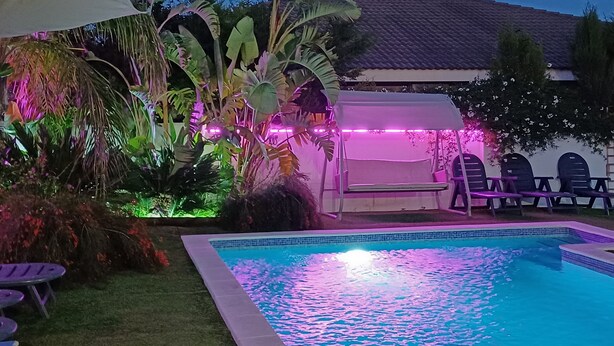 Una piscina con un'area salotto coperta, circondata da rigogliosa vegetazione tropicale e un tettoia bianca.