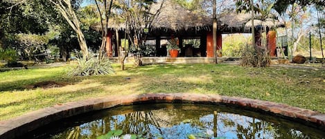 A tranquil garden with a pond, surrounded by trees and a thatched-roof structure.