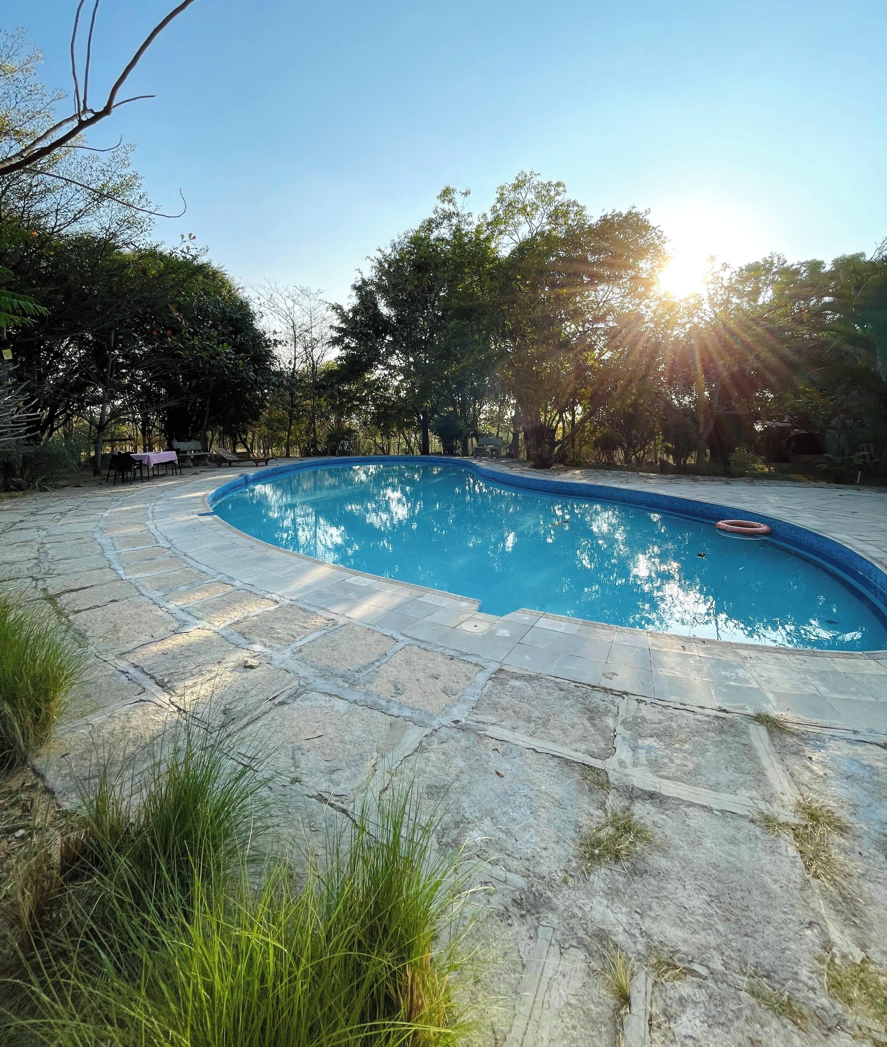 Una piscina con solárium de piedra, rodeada de árboles y césped.