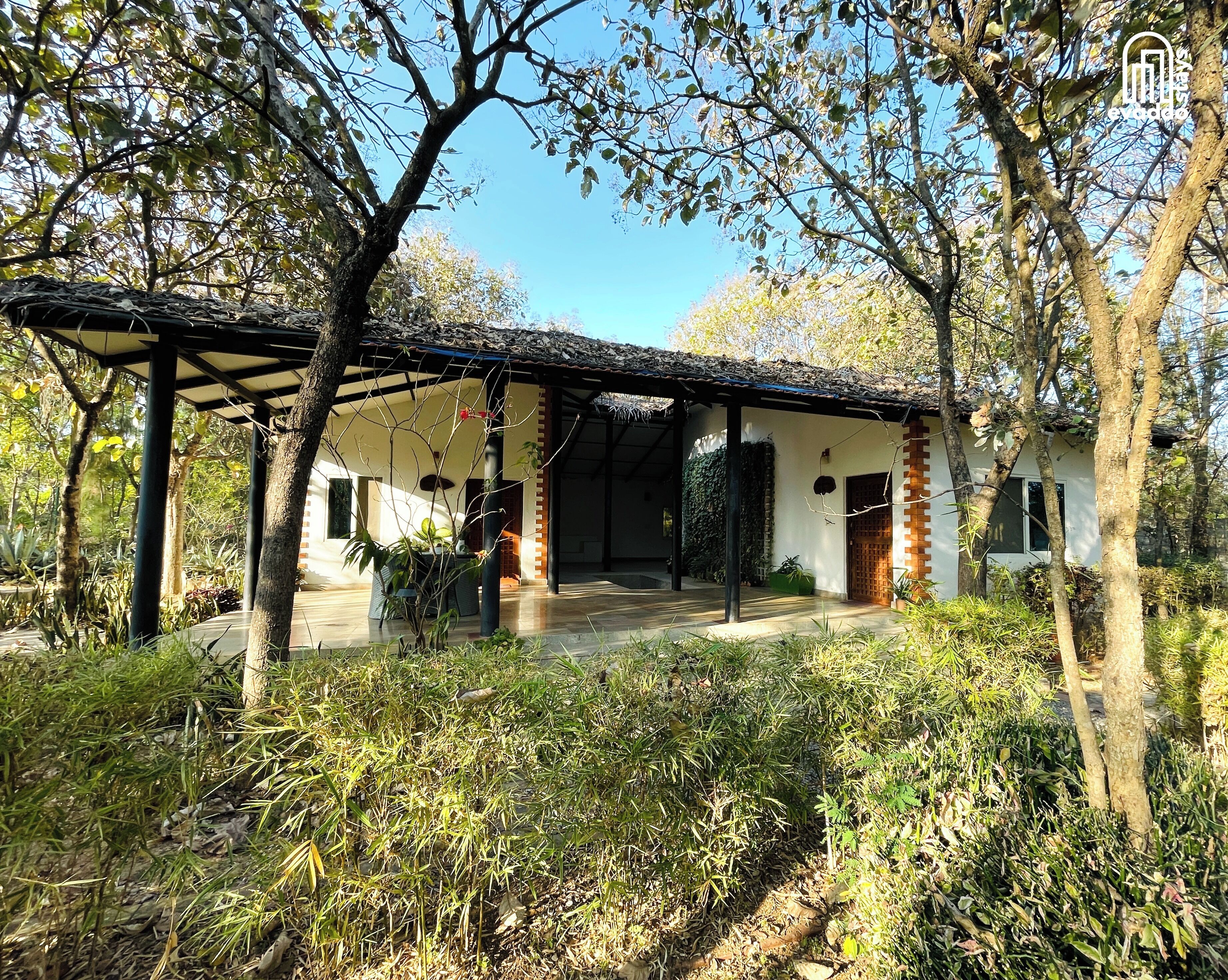A traditional house with a covered porch, surrounded by trees and vegetation.