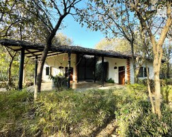 A traditional house with a covered porch, surrounded by trees and vegetation.