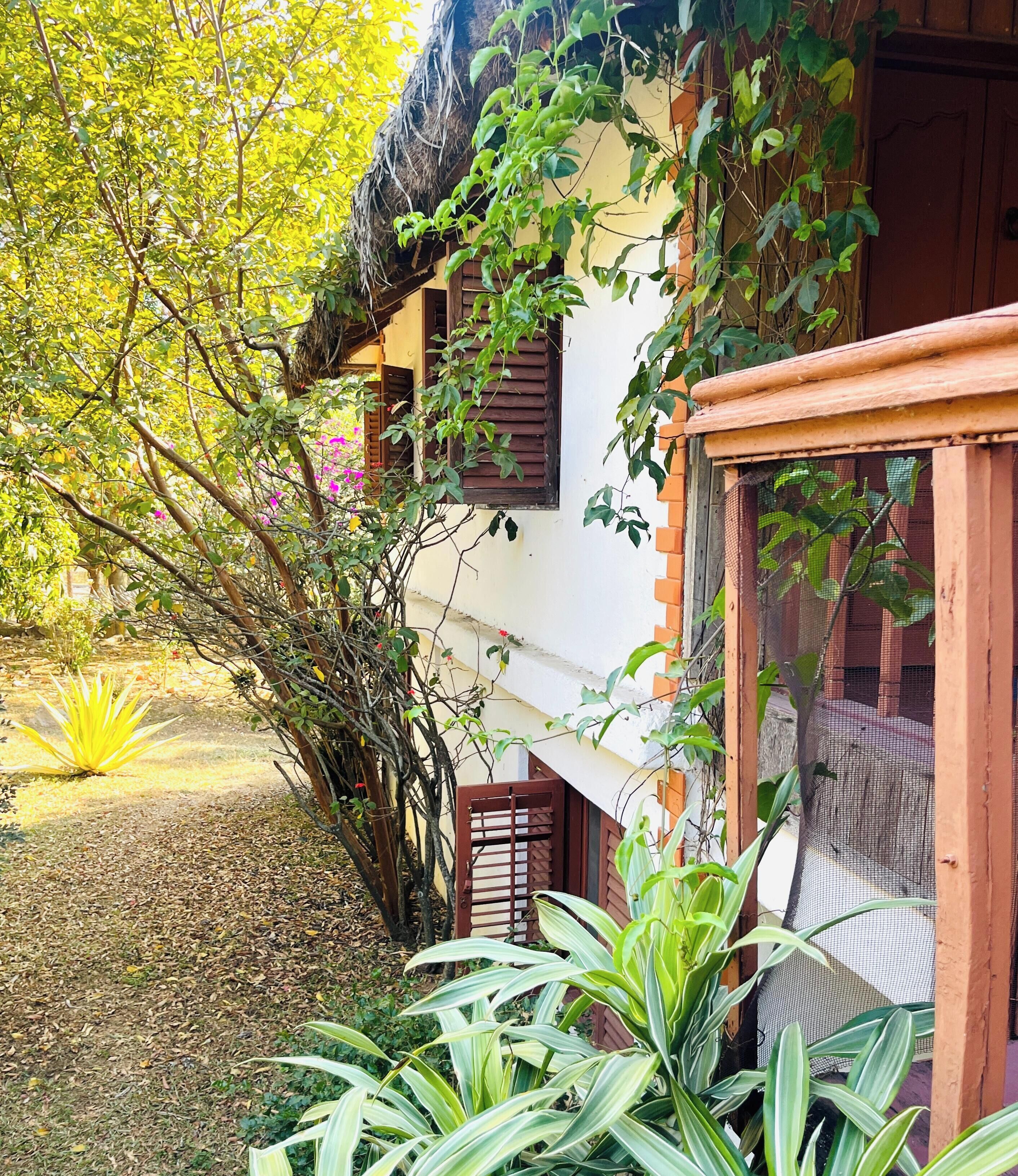 A traditional house with a thatched roof, surrounded by lush greenery and flowering plants.