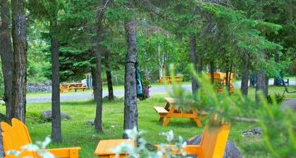 Motel Des Cascades  : Grande Chambre Familiale