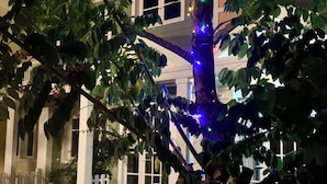 A tree with colorful lights wrapped around its trunk, a white picket fence, and a house in the background. - Deluxe 3 Br Happy House - Novaworld PT (Tien Thanh)