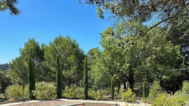 A wooden deck surrounding a circular swimming pool with a clear blue pool, surrounded by lush greenery and tall trees. - Domaine de l'Aven (Villeneuve-Minervois)