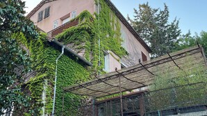 A building with ivy-covered walls and a metal pergola. - Domaine de l'Aven (Villeneuve-Minervois)