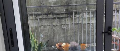 Apartment, 1 Bedroom, Accessible, Smoking | Exterior