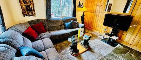 Télévision, cheminée, espaces bureaux