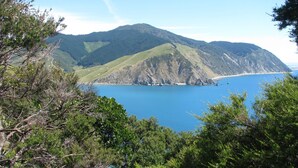 A coastal landscape with a mountain, a clear blue sea, and dense greenery.