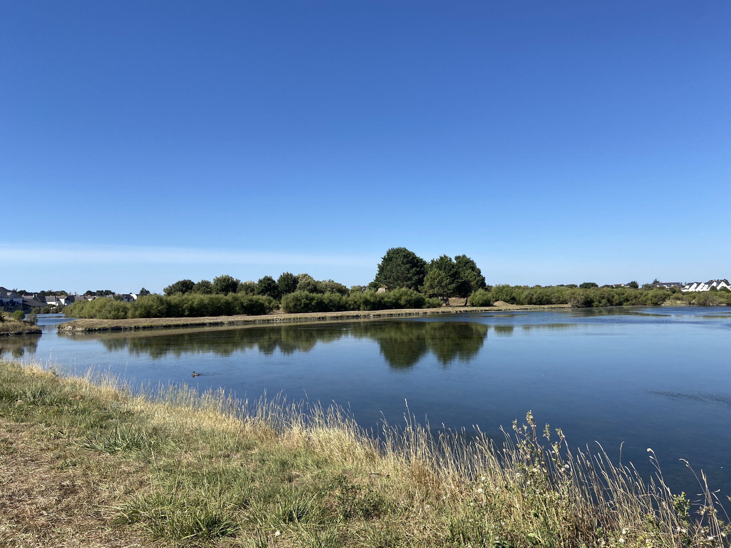 A calm lake with a clear sky, surrounded by trees and a few buildings in the distance.