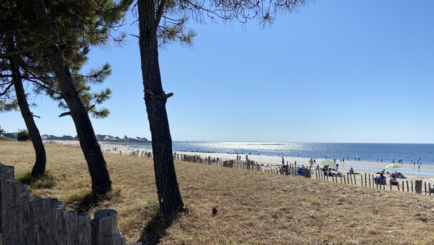 A beach with a wooden fence, trees, and a clear blue sky. - MASSALINE - Holiday home between town and beaches, Carnac - K38 (Carnac)