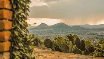 Overnatningsstedets område