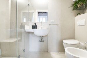 Regadera, secadora de cabello, bidet, toallas