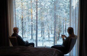 Premium-paritalo, näköala puistoon (Arctic Sky Suite) | Oleskelualue | Televisio