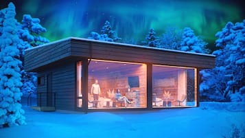 Premium-Maisonette, Parkblick (Arctic Sky Suite) | 1 Schlafzimmer, kostenloses WLAN, BettwÀsche