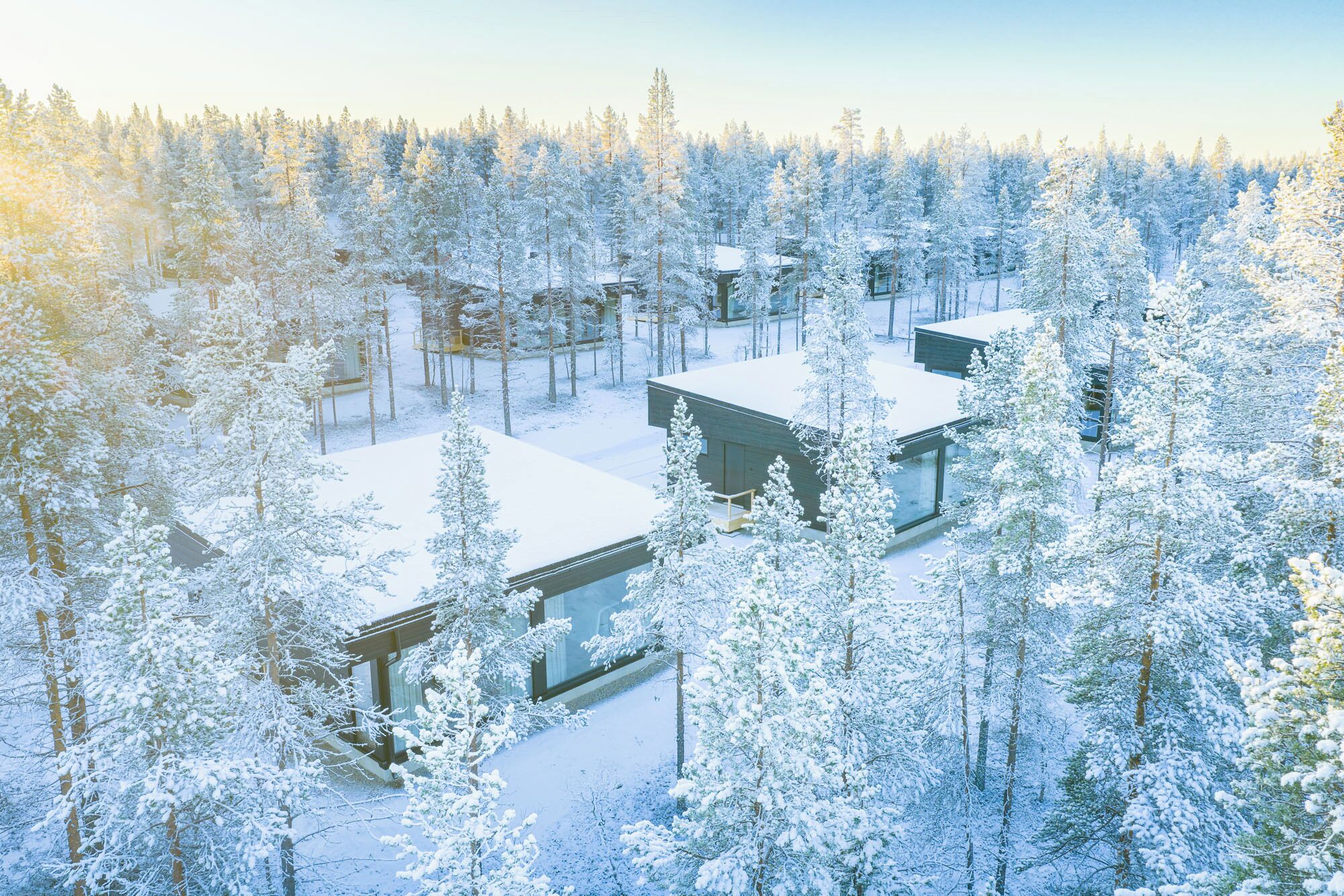 A modern building complex surrounded by a dense forest, with snow-covered trees and a clear sky.