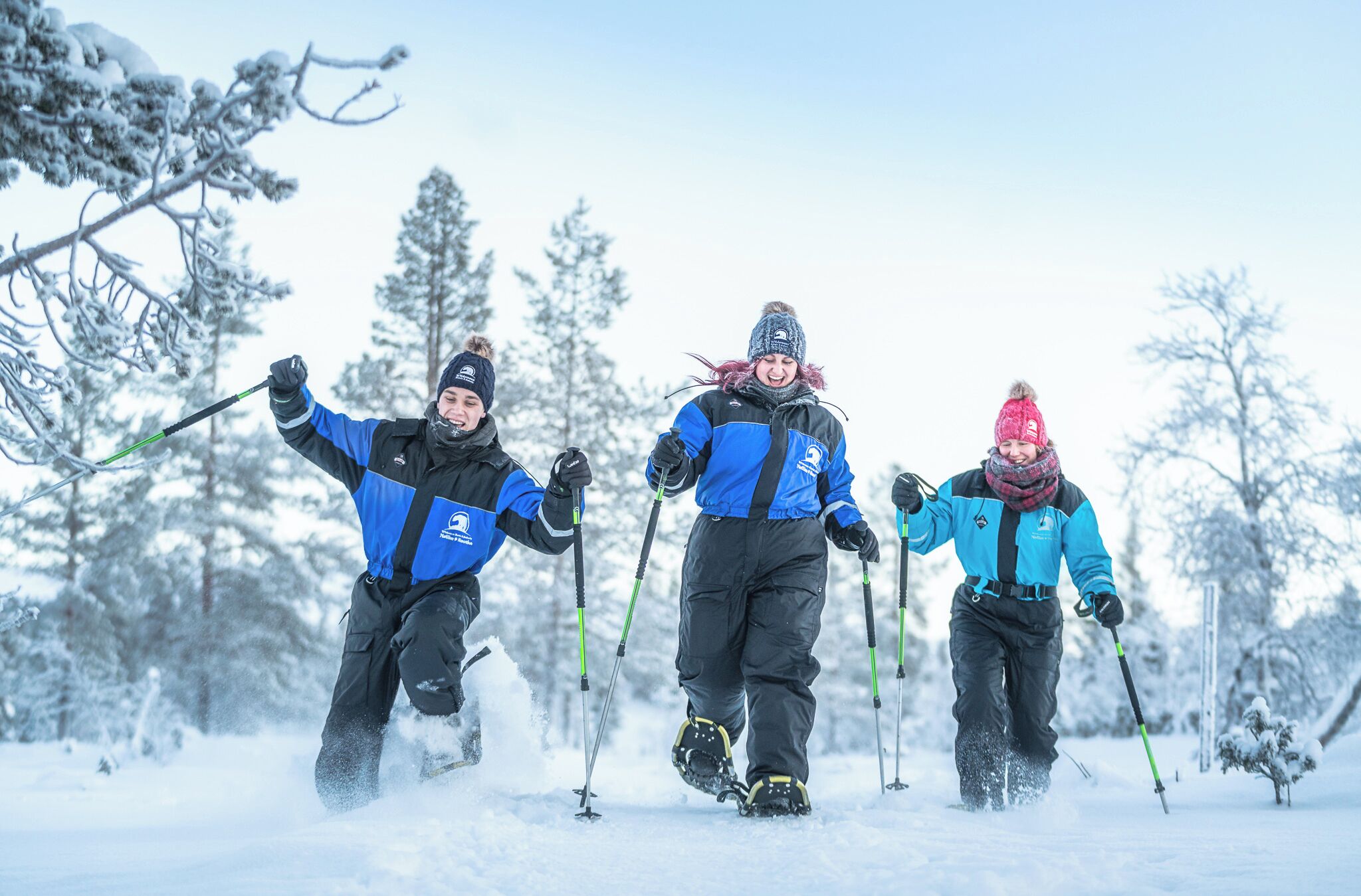Three people cross-country skiing in a snowy forest.